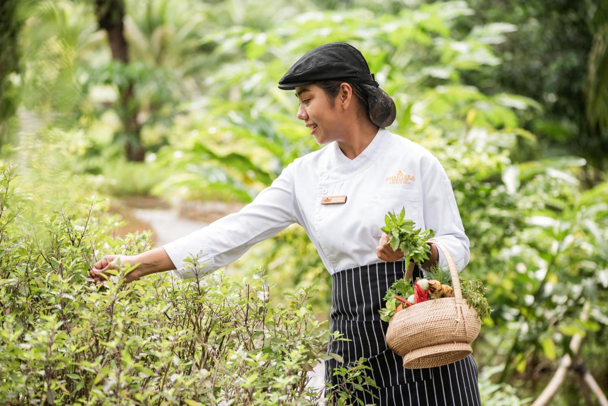 Anantara Koh Yao Yai Resort & Villas Ko Yao Kültér fotó
